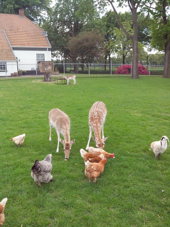 شقة Bed En Breakfast Westerwolde Sellingen المظهر الخارجي الصورة
