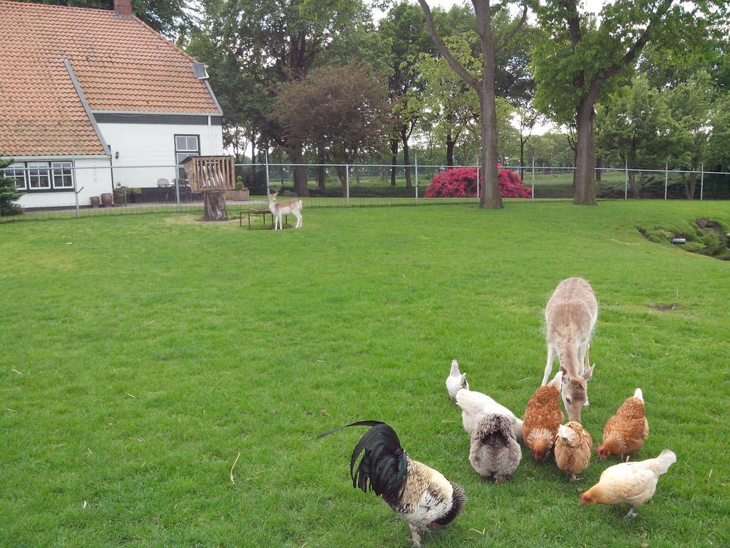 شقة Bed En Breakfast Westerwolde Sellingen المظهر الخارجي الصورة